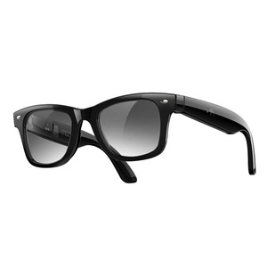 Heart Rate Blood Oxygen Monitoring AI Translation HiFi Audio Smart Glasses