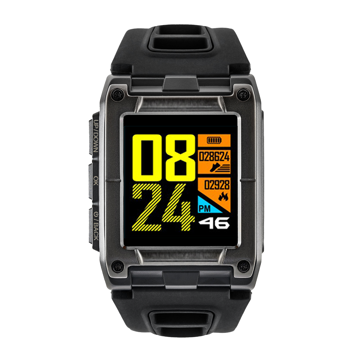 WATCHMARK WS929 Manual